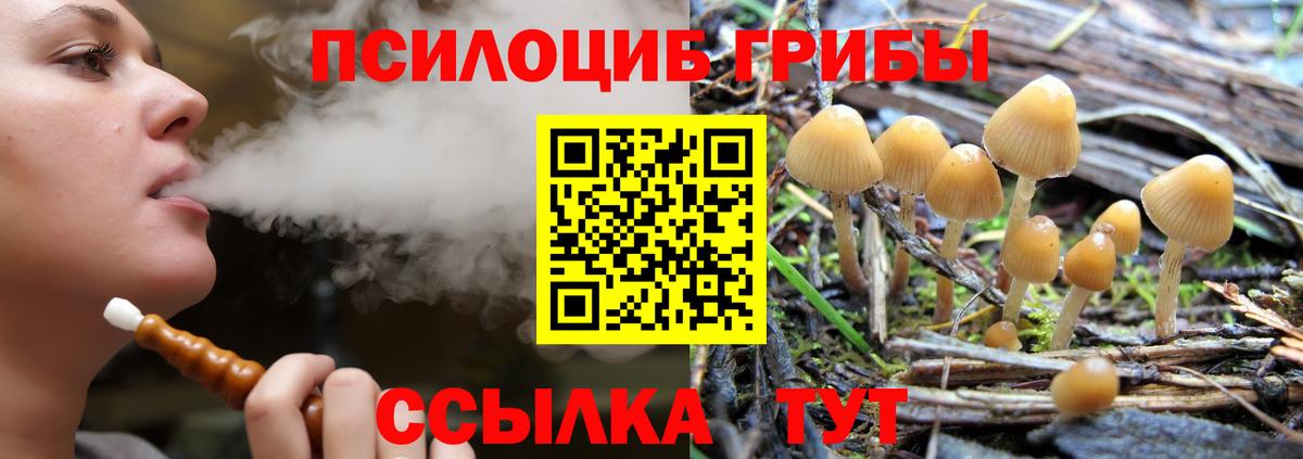 Псилоцибиновые грибы прущие грибы Мценск